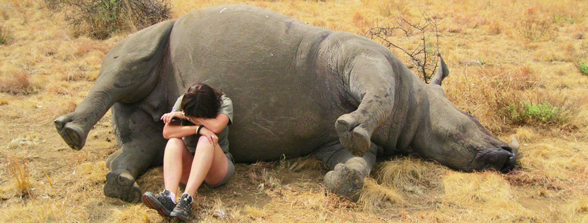 Lynne MacTavish, operations manager at Mankwe Wildlife Reserve in South Africa, mourns the death of one of her rhinos at the hands of poachers in 2014.
